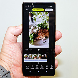 ꡼ No.011 | 侮᥵ǤϥɻͤΥޡȥեXperia 5 Vפо