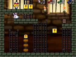 ꡼ No.001Υͥ / ֥ѥ ӡߥ ԥ2׿ߥåܤۿ