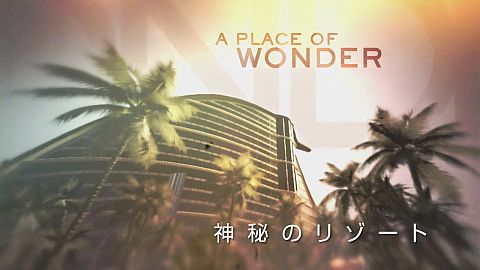 ꡼ No.003 | DEAD ISLANDסγڱƤ֥ХΥפΥȥ쥤顼о