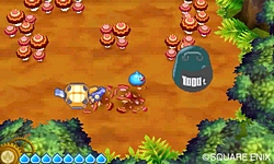 ꡼ No.008 | ȯΡ֥饤ɥ饴󥯥3פǤϥ󥿡ͥå̿Ѥ㤤ʪо졣ʥƥˡ餫