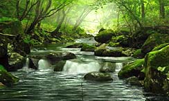 ꡼ No.016 | ޡ٥饹󥿡ƥȡ3DSѥȥFish Eyes 3Dפ2011ǯ623ȯ䡣3DΩλǡ˥ʥߥåˤʤä꤬ڤ