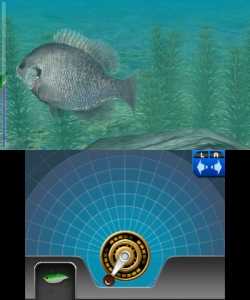 ꡼ No.003 | Fish Eyes 3DסȤ򹹿ƥȥ󥯥Хʡ