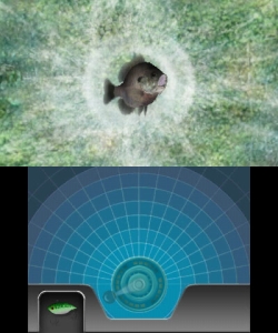 ꡼ No.004 | Fish Eyes 3DסȤ򹹿ƥȥ󥯥Хʡ