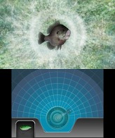 ꡼ No.006Υͥ / Fish Eyes 3Dȯ䵭ǰɻԼץ쥼ȡοʤҲ