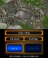 ꡼ No.007Υͥ / Fish Eyes 3Dȯ䵭ǰɻԼץ쥼ȡοʤҲ