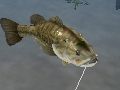 「Fishing 3D」，新たな発売日を2012年2月2日に決定 