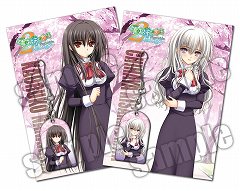 ꡼ No.001 | 륱ߥȡDreamParty2011դ˽Ÿݥ̵ۤ»