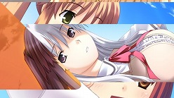 ꡼ No.011Υͥ / ֤ϥꥱ PortableסPCǤΥץ˥󥰤˿ҥ ۡפäǿࡼӡ