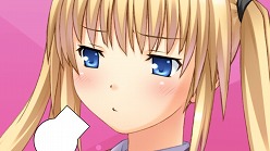 ꡼ No.016Υͥ / ֤ϥꥱ PortableסPCǤΥץ˥󥰤˿ҥ ۡפäǿࡼӡ