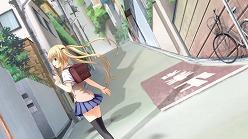 ꡼ No.020Υͥ / ֤ϥꥱ PortableסPCǤΥץ˥󥰤˿ҥ ۡפäǿࡼӡ