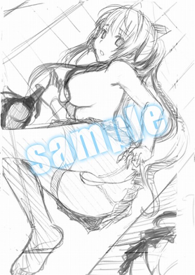 ꡼ No.006Υͥ / ֤ϥꥱ PortableסŹŵξ󤬸ˡŵɤβ㤵ղ