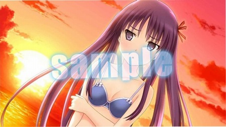 ꡼ No.012Υͥ / ֤ϥꥱ PortableסŹŵξ󤬸ˡŵɤβ㤵ղ