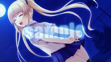 ꡼ No.013Υͥ / ֤ϥꥱ PortableסŹŵξ󤬸ˡŵɤβ㤵ղ