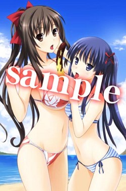 ꡼ No.008Υͥ / PSP֤ϥꥱ PortableסҥҲࡼӡ2Ƥ°ȼʤ椫ɡȩ¿Źŵ饹Ȥ