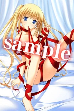 ꡼ No.009Υͥ / PSP֤ϥꥱ PortableסҥҲࡼӡ2Ƥ°ȼʤ椫ɡȩ¿Źŵ饹Ȥ