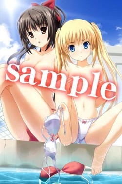 ꡼ No.010Υͥ / PSP֤ϥꥱ PortableסҥҲࡼӡ2Ƥ°ȼʤ椫ɡȩ¿Źŵ饹Ȥ