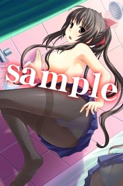 ꡼ No.011Υͥ / PSP֤ϥꥱ PortableסҥҲࡼӡ2Ƥ°ȼʤ椫ɡȩ¿Źŵ饹Ȥ