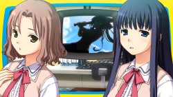 ꡼ No.020Υͥ / PSP֤ϥꥱ PortableסҥҲࡼӡ2Ƥ°ȼʤ椫ɡȩ¿Źŵ饹Ȥ