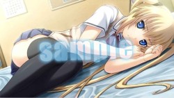 ꡼ No.021Υͥ / PSP֤ϥꥱ PortableסҥҲࡼӡ2Ƥ°ȼʤ椫ɡȩ¿Źŵ饹Ȥ