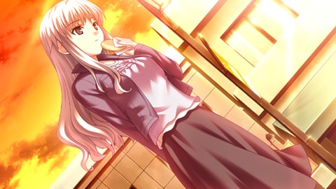 ꡼ No.004Υͥ / ֤ϥꥱ Portableסʥץ칥ο äե㡼ǿࡼӡǺܡܥô󻳻ΤҤΥ󥿥ӥ塼