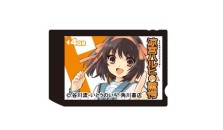 ꡼ No.003Υͥ / STEINS;GATEפȡõܥϥҤζس׻ͤΥ꡼ƥå623ȯ䡣ȥơޥѥץȥɡդ