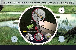画像ギャラリー No.004のサムネイル画像 / GhM初のiPhone用ゲーム「FROG MINUTES」には,単純ながらも遊び続けたくなる魅力が満載