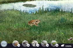 画像ギャラリー No.008のサムネイル画像 / GhM初のiPhone用ゲーム「FROG MINUTES」には,単純ながらも遊び続けたくなる魅力が満載