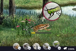 画像ギャラリー No.009のサムネイル画像 / GhM初のiPhone用ゲーム「FROG MINUTES」には,単純ながらも遊び続けたくなる魅力が満載