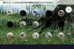 画像ギャラリー No.013のサムネイル画像 / GhM初のiPhone用ゲーム「FROG MINUTES」には,単純ながらも遊び続けたくなる魅力が満載