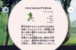 ꡼ No.005 | FROG MINUTESiPhone󥭥4̡iPad󥭥1̤