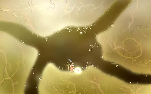 ꡼ No.003 | ۤ狼Ȥݥȡåɥ٥㡼Botaniculaפȯɽ