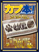 ꡼ No.018 | ֥ Vol.3ȯ䡣ŵȤDVD°