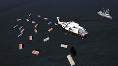 ꡼ No.017Υͥ / إꥳץե饤ȥ֥ƥ  إꥳץ ܸǡפ330ȯ