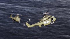 ꡼ No.021Υͥ / إꥳץե饤ȥ֥ƥ  إꥳץ ܸǡפ330ȯ