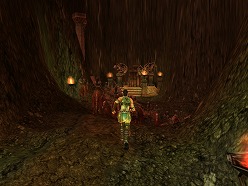 画像ギャラリー No.008のサムネイル画像 / MMORPG「KNIGHTS of KINGDOM」のクローズドβテストが本日スタート。オープンβテストの事前登録受付も開始