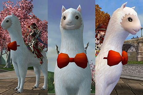 ꡼ No.007 | Ϥ뤫KNIGHTS of KINGDOMס緿åץǡȡֿžפǡֻפˤʤ뤿žǤ̳