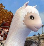 ꡼ No.010Υͥ / Ϥ뤫KNIGHTS of KINGDOMס緿åץǡȡֿžפǡֻפˤʤ뤿žǤ̳