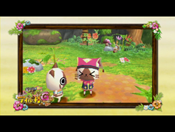 ���������꡼ No.002�Υ���ͥ������ / ������ס�����Ȫ�ʤɿ����ߤ��о졣�֥��ϥ����� �ݤ��ݤ������롼¼G�פκǿ��ץ��⡼�����ࡼ�ӡ�����