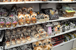 ���������꡼ No.016�Υ���ͥ������ / e-CAPCOM���꾦�ʤ���ϥ���������ꥰ�å���¿�����١����ץ����Υ��ե�����륷��åס֥������ץ�������ĥ��פ˹ԤäƤ���