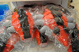 ���������꡼ No.021�Υ���ͥ������ / e-CAPCOM���꾦�ʤ���ϥ���������ꥰ�å���¿�����١����ץ����Υ��ե�����륷��åס֥������ץ�������ĥ��פ˹ԤäƤ���