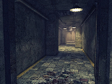 ���������꡼ No.010�Υ���ͥ������ / ��HOUNDS�פΥ��åץǡ��Ȥǿ��ߥå������ݸ��ƻ12�����פȿ��ޥåס��ϲ���ƻ�פ��������֥������ȥ�ܥ�������3�Ƥ�����Ⳬ��