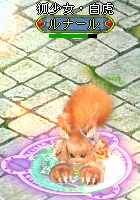 画像ギャラリー No.006のサムネイル画像 / 「BraveSongOnline」可愛いけど怒らせると怖いかも。“狐少女”が登場