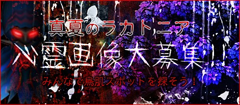 画像ギャラリー No.005のサムネイル画像 / 「ラカトニア」に全職装備可能な新アバターアイテムが登場。第1弾は「ナイト」
