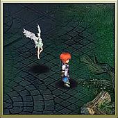 ꡼ No.005 | ֥饫ȥ˥緿åץǡȡREBIRTH׼˾žƥबо