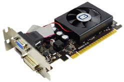 ꡼ No.001 | 2GBΥեåGainwardGT 520ɤȯ