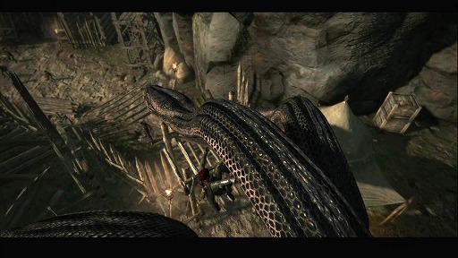 Dragon's Dogmaץץ쥤ࡼӡ