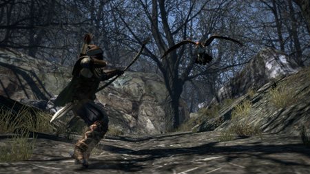 ���������꡼ No.005�Υ���ͥ������ / ��Dragon's Dogma�פǥץ쥤�䡼������Ǥ��뿦�Ȥξ��󤬸����ˡ��ޤ��ϴ���Ū��3�Ĥο��Ȥ�������å����褦