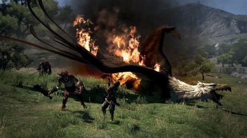 ���������꡼ No.008�Υ���ͥ������ / ��Dragon's Dogma�פΥХȥ�˴ؤ���������餫�ˡ�����Υ���饯�������Ϥ��碌������ʲ�ʪã��Ω����������
