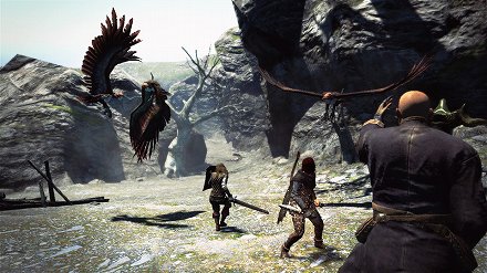 ���������꡼ No.009�Υ���ͥ������ / ����������ȸ����Ӥ�ʡ���Dragon's Dogma�פ���������©���륪�����ߡ��ꥶ���ɥޥ󡤥ϡ��ԡ���Ҳ�