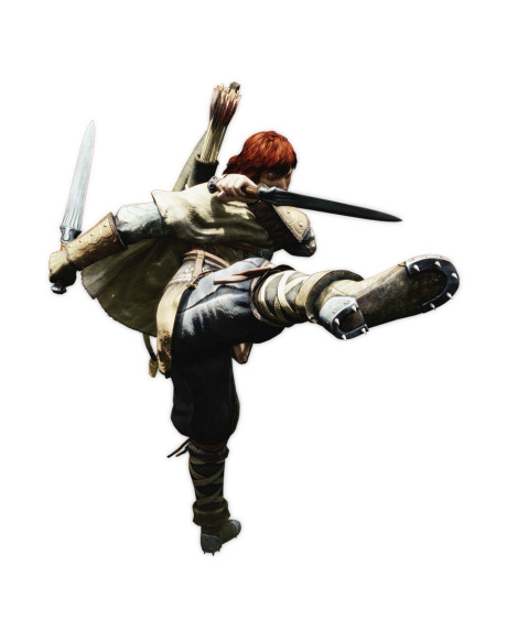 ꡼ No.001Υͥ / ե䥭ȤǮƮڤ롣Dragon's Dogmaפॷ祦2011˥ץ쥤֥Ÿ 